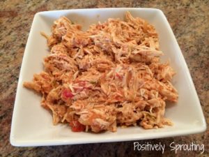 Simple Slow-Cooker Salsa Chicken